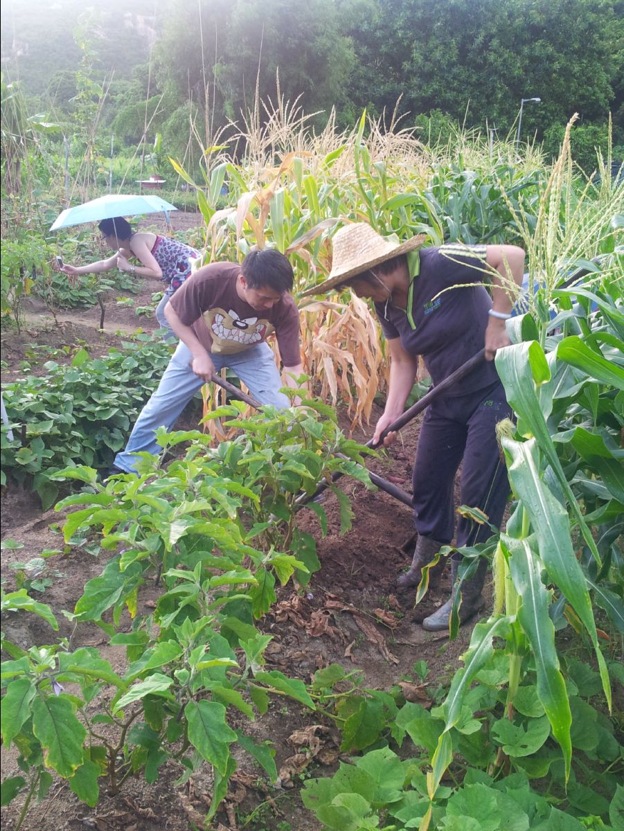 20100715Organic Farm19